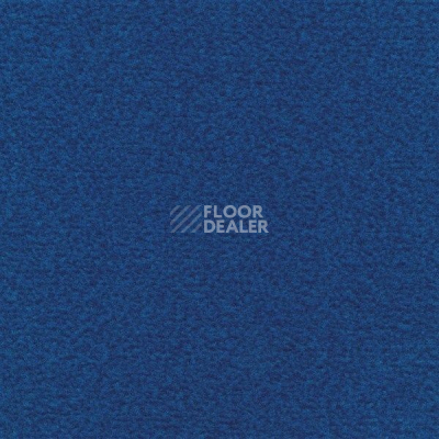 Ковролин Sintelon Velveto 47712 фото 1 | FLOORDEALER