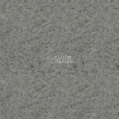 Линолеум Lg Delight DLT9109 фото 1 | FLOORDEALER