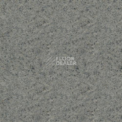 Линолеум Lg Delight DLT9109 фото 1 | FLOORDEALER