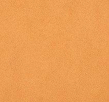 Линолеум Taralay Initial Compact (Plain & allover look) 0966 Miami Abricot фото 1 | FLOORDEALER