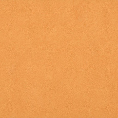 Линолеум Taralay Initial Compact (Plain & allover look) 0966 Miami Abricot фото 1 | FLOORDEALER