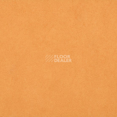 Линолеум Taralay Initial Compact (Plain & allover look) 0966 Miami Abricot фото 1 | FLOORDEALER