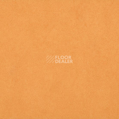 Линолеум Taralay Initial Compact (Plain & allover look) 0966 Miami Abricot фото 1 | FLOORDEALER