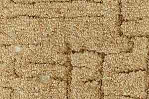 Ковролин Калинка Канны 38 фото  | FLOORDEALER