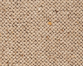 Ковролин Best Wool Nature Jeddah 121 фото 1 | FLOORDEALER