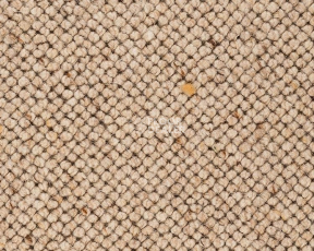 Ковролин Best Wool Nature Jeddah 121 фото 1 | FLOORDEALER