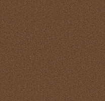 Ковролин Forbo Showtime Nuance 900204 фото 1 | FLOORDEALER