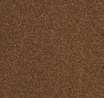 Ковролин AW VivendiI Aaura 80 фото 1 | FLOORDEALER