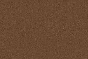 Ковролин Forbo Showtime Nuance 900204 фото  | FLOORDEALER