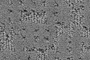 Ковролин Balsan Touquet 920 фото  | FLOORDEALER