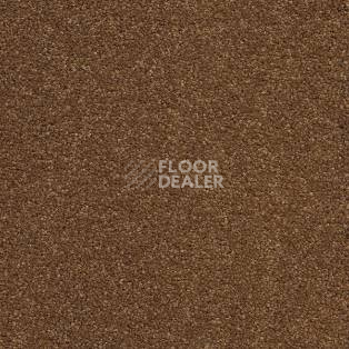 Ковролин AW VivendiI Aaura 80 фото 1 | FLOORDEALER