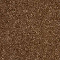 Ковролин AW VivendiI Aaura 80 фото 1 | FLOORDEALER