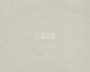 Ковролин Lano Lior 240 Cream фото 1 | FLOORDEALER