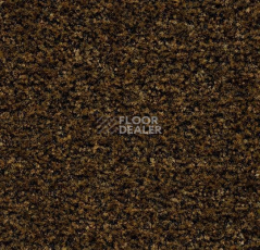 Грязезащитные покрытия Forbo Coral в плитке 5736 Cinnamon Brown фото 1 | FLOORDEALER