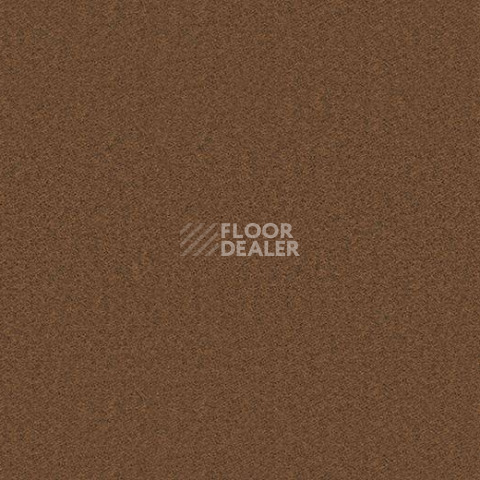 Ковролин Forbo Showtime Nuance 900204 фото 1 | FLOORDEALER