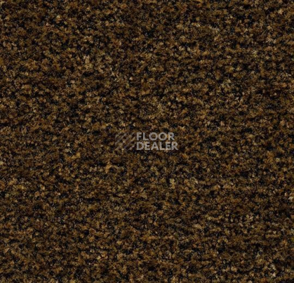 Грязезащитные покрытия Forbo Coral в плитке 5736 Cinnamon Brown фото 1 | FLOORDEALER