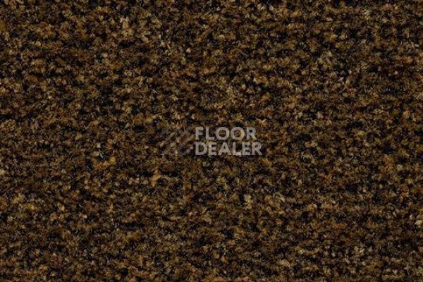 Грязезащитные покрытия Forbo Coral в плитке 5736 cinnamon brown фото 1 | FLOORDEALER