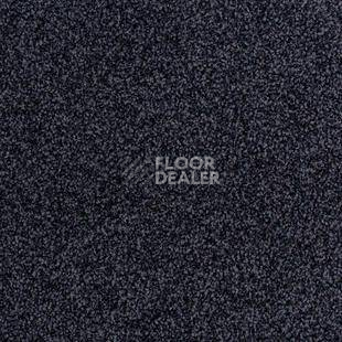 Ковролин Desso Torso B 9012 фото 1 | FLOORDEALER