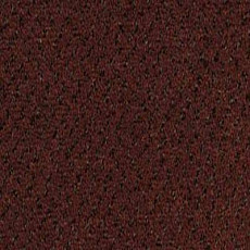 Desso Champion 2097 фото 1 | FLOORDEALER