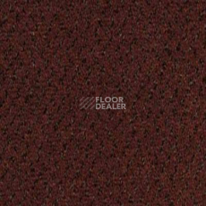 Ковролин Desso Champion 2097 фото 1 | FLOORDEALER