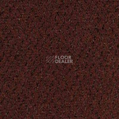 Ковролин Desso Champion 2097 фото 1 | FLOORDEALER