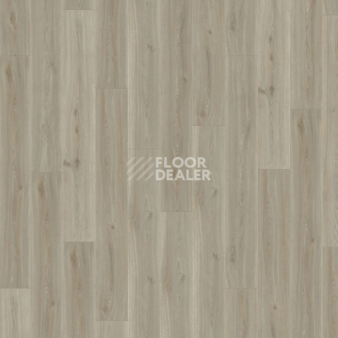 Kronotex Exquisit 8мм d4688 Дуб Сьерра Титан фото 4 | FLOORDEALER