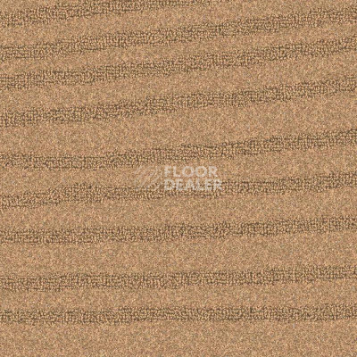 Ковролин Balsan Amazonie 631 фото 1 | FLOORDEALER