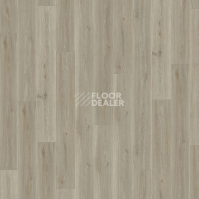 Ламинат Kronotex Exquisit 8мм d4688 Дуб Сьерра Титан фото 4 | FLOORDEALER