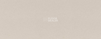 Плинтус Dollken EP 60/13 1374_01 фото 2 | FLOORDEALER