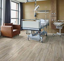 Forbo SureStep Wood 18372 white chestnut фото 2 | FLOORDEALER
