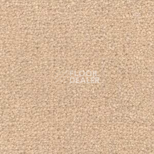 Ковролин Radici Montecarlo 39 фото 1 | FLOORDEALER