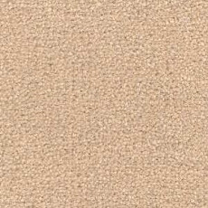 Ковролин Radici Montecarlo 39 фото 1 | FLOORDEALER