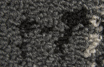 Balsan Crazy Balsan Crazy 960 фото 3 | FLOORDEALER