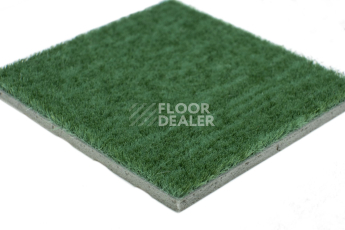 Forbo Flotex Colour s 482010 Penang Avergreen фото 4 | FLOORDEALER