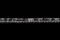 Escom City Line 340 фото 4 | FLOORDEALER