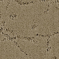 Ковролин Balsan Muse 630 фото 1 | FLOORDEALER