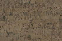 Пробковое покрытие Cork Pro Linea March фото 1 | FLOORDEALER