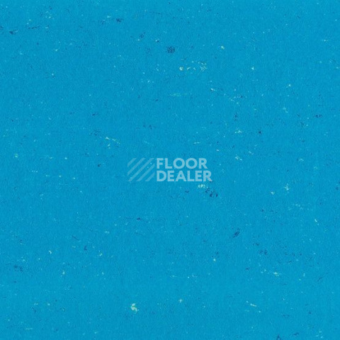 Линолеум Gerflor Colorette 0123 Poppy Blue фото 1 | FLOORDEALER