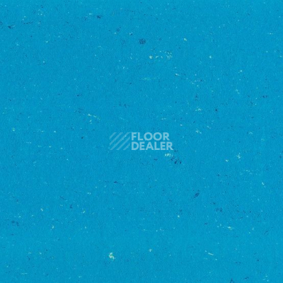 Линолеум Colorette 0123 Poppy Blue фото 1 | FLOORDEALER