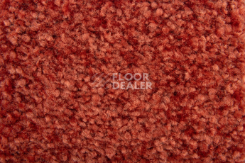 Balsan Ultrasoft Dalle 550 фото 2 | FLOORDEALER
