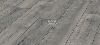 Ламинат Kronotex Exquisit 8мм d4765 Дуб Серый Петерсон фото 1 | FLOORDEALER