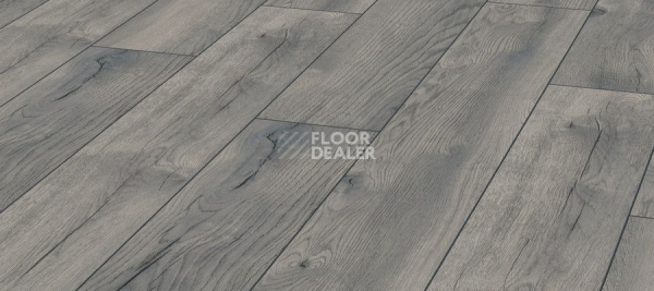 Ламинат Kronotex Exquisit 8мм d4765 Дуб Серый Петерсон фото 1 | FLOORDEALER