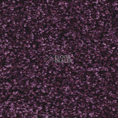 Ковролин Balsan Feelings 890 фото 1 | FLOORDEALER