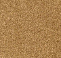 Ковролин Desso Asteranne 6024 фото 1 | FLOORDEALER