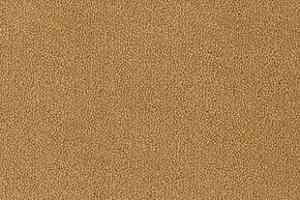 Ковролин Desso Asteranne 6024 фото  | FLOORDEALER