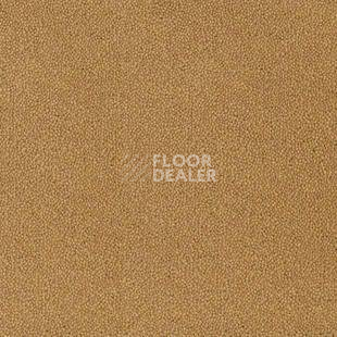 Ковролин Desso Asteranne 6024 фото 1 | FLOORDEALER