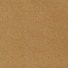 Ковролин Desso Asteranne 6024 фото 1 | FLOORDEALER