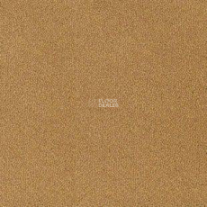 Desso Asteranne 6024 фото 1 | FLOORDEALER