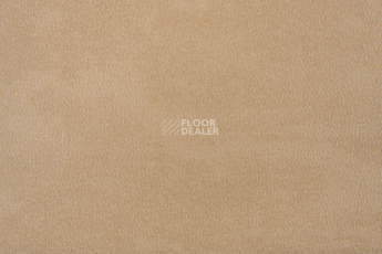 Forbo Emerald Standart 72414 фото 2 | FLOORDEALER