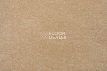 Forbo Emerald Standart 72414 фото 2 | FLOORDEALER